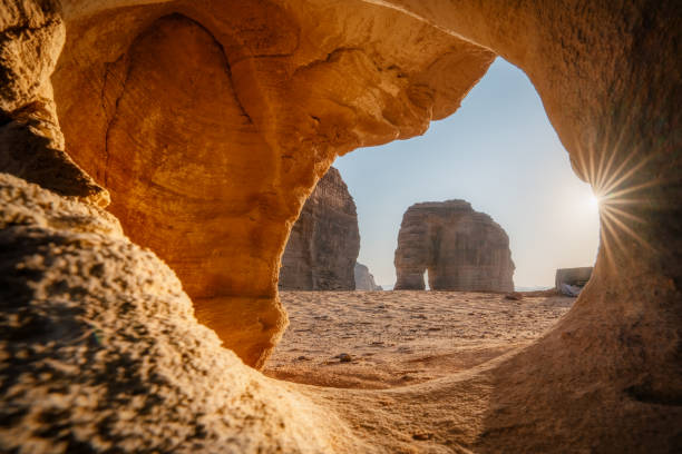 Sustainability initiatives update