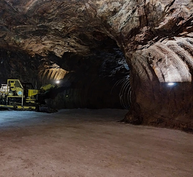 Driving growth and delivering value through innovative development and strategic execution.